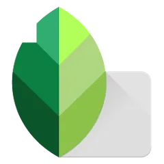 Snapseed Mod APK Download